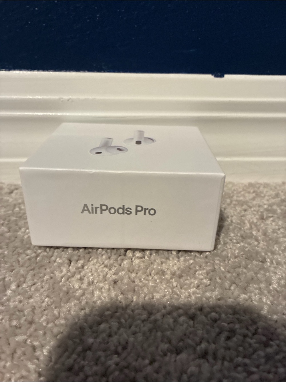 Apple AirPods Pro Box - White